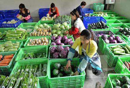 净菜配送与食品安全 :智通食材“鲜小蕃”的优势与目标